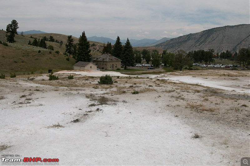 Yellowstone: A trip to the oldest national park in the USA (and the world)-img_0990.jpg