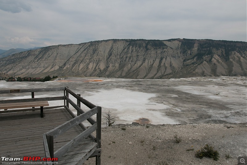 Yellowstone: A trip to the oldest national park in the USA (and the world)-img_1074.jpg