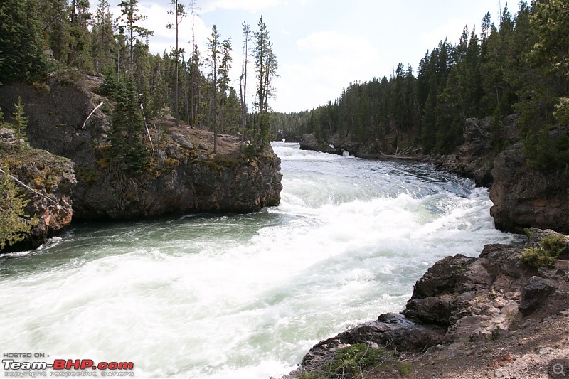 Yellowstone: A trip to the oldest national park in the USA (and the world)-img_1225.jpg