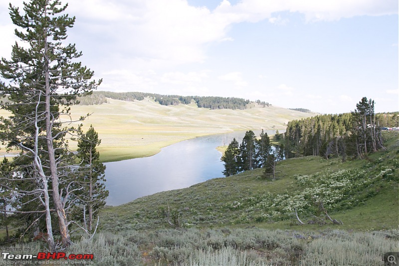 Yellowstone: A trip to the oldest national park in the USA (and the world)-img_1275.jpg