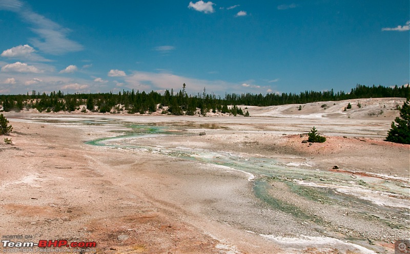Yellowstone: A trip to the oldest national park in the USA (and the world)-img_1595.jpg