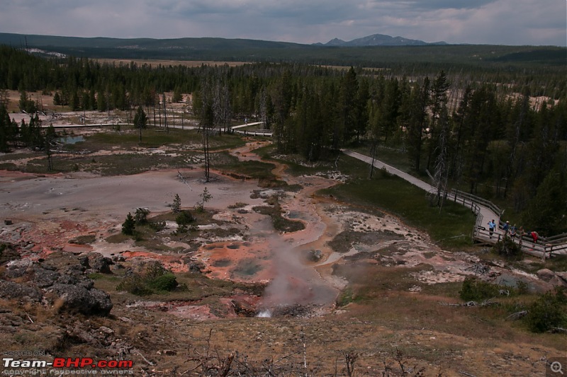 Yellowstone: A trip to the oldest national park in the USA (and the world)-img_1657.jpg