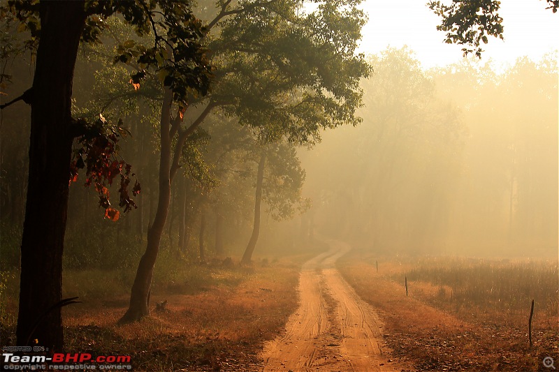 Motorcycle ride to the Kanha National Park-kanhaimg_7141.jpg