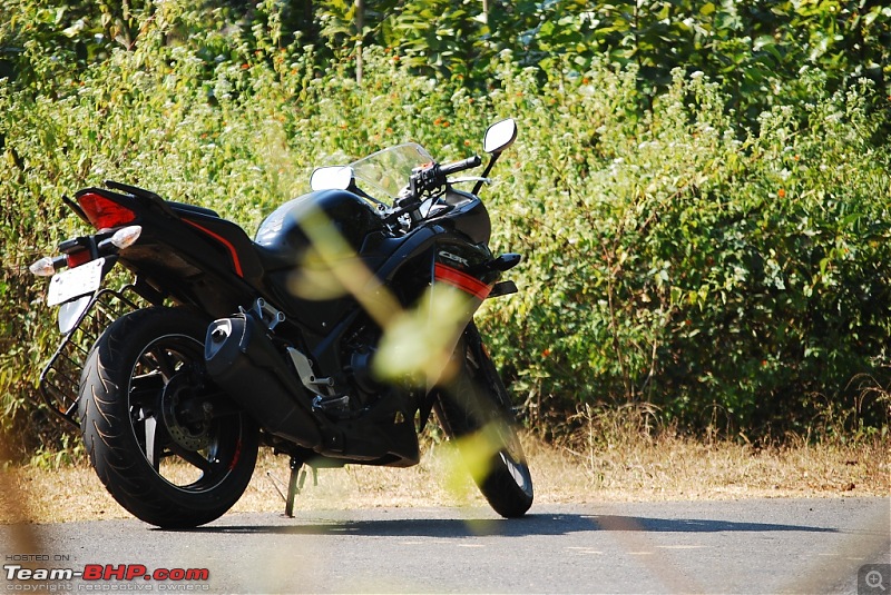 Honeymoon Ride: Kolkata to Lava on a CBR250R-renesseme.jpg