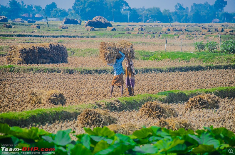 A Rhymelogue: Drive to Ajodhya Hills, Purulia-_dsc2184.jpg