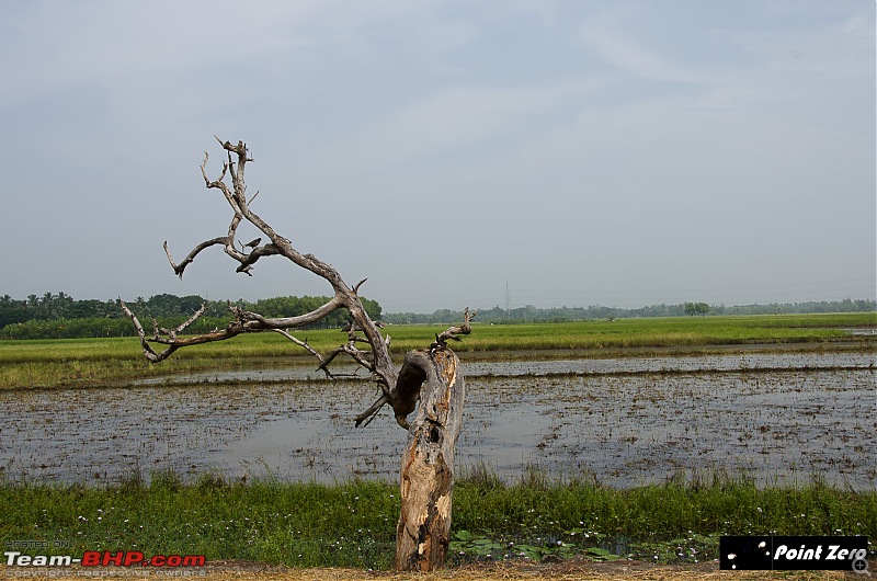 Preface to Puri and Rambha, Odisha-tkd_3705.jpg