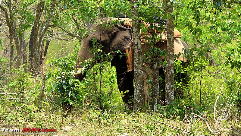 Parambikulam through Valparai - Escape from madness-image00007.jpg