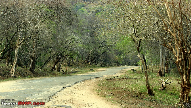 Parambikulam through Valparai - Escape from madness-image00013.jpg