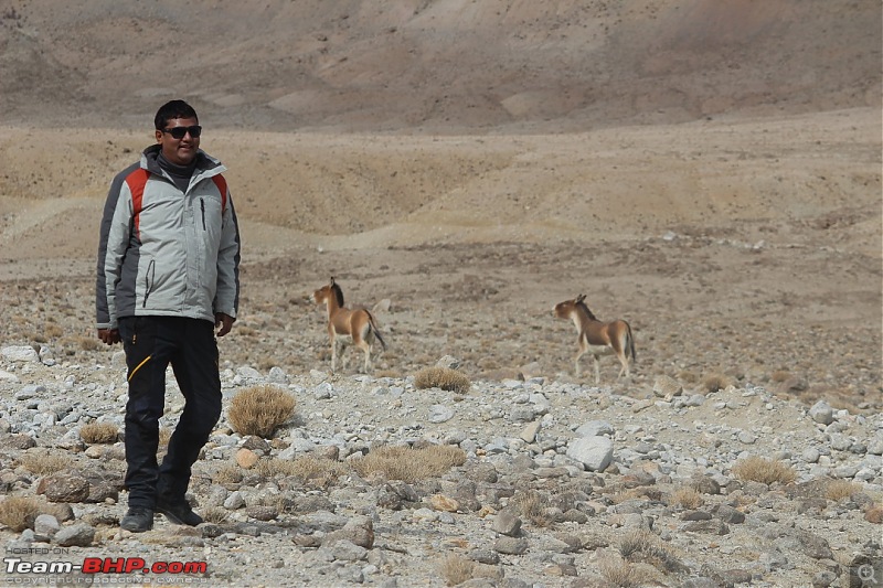 Ladakh: Four Idiots & One XUV500-379.jpg