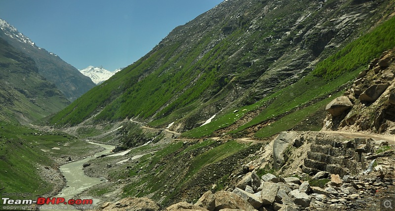 Alaskan bear in Snow leopard territory - The Kodiaq expedition to Spiti-dsc_0976.jpg