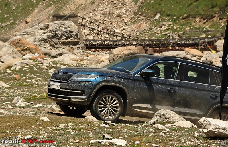 Alaskan bear in Snow leopard territory - The Kodiaq expedition to Spiti-dsc_0040.jpg