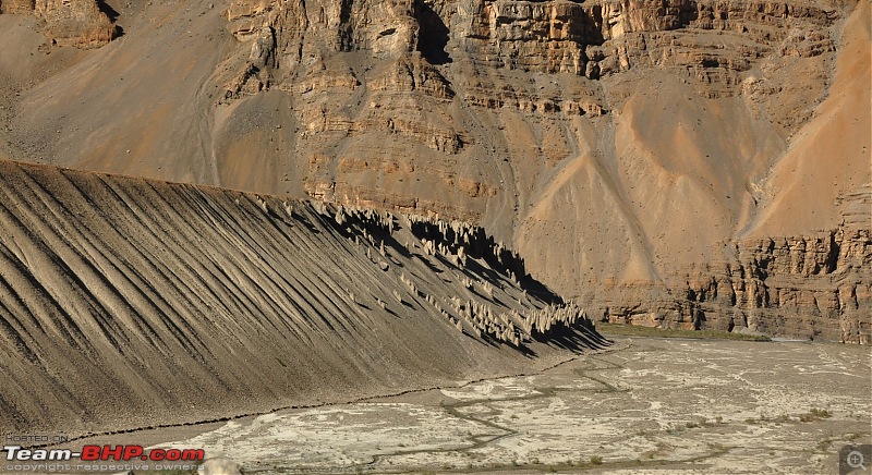 Alaskan bear in Snow leopard territory - The Kodiaq expedition to Spiti-w_dsc_0542.jpg