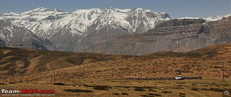 Alaskan bear in Snow leopard territory - The Kodiaq expedition to Spiti-s_dsc_0649.jpg