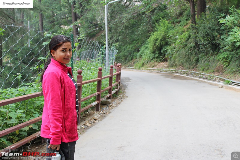 High Altitude Trek to Buran Ghati : Diary of a Solo Woman Traveler-img_1396.jpg