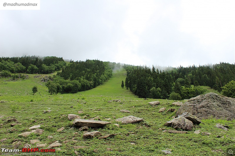 High Altitude Trek to Buran Ghati : Diary of a Solo Woman Traveler-img_1567.jpg