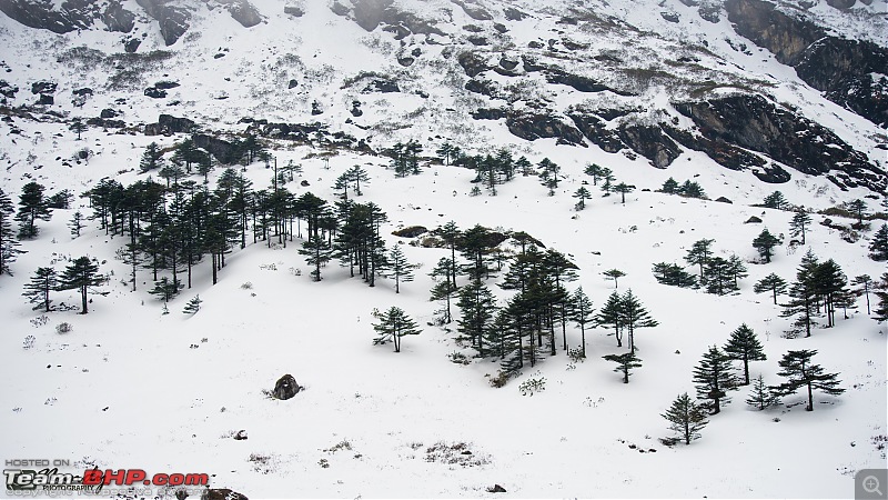 Amazingly magnificent & enchantingly awesome North East India - A 10,000 km Ride!-dsc_3774.jpg