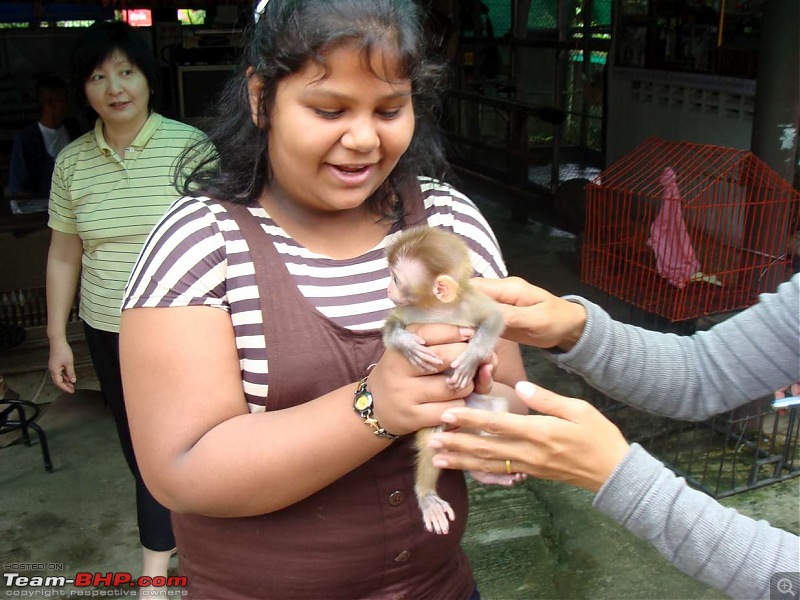 10 days across Thailand (2009) - and 8 more days (2011)-monkey-13k100.jpg