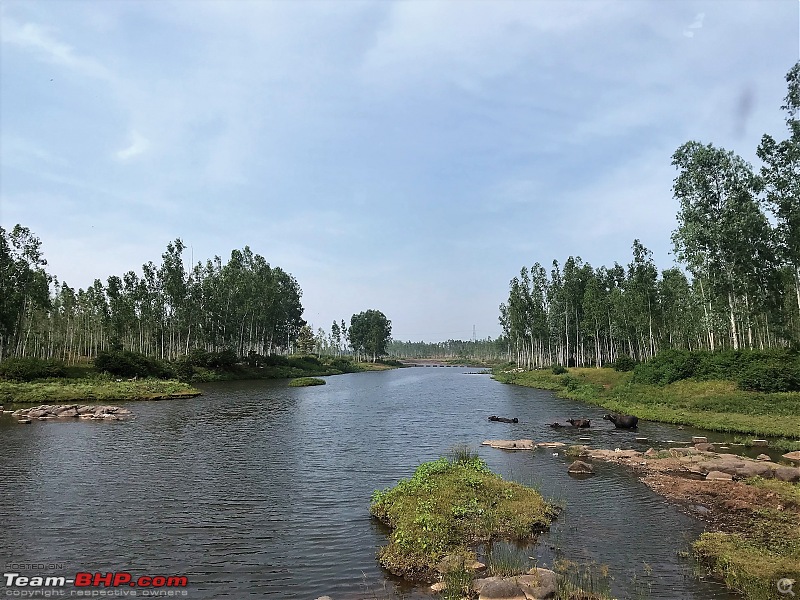 Wandering in the wild : Ahmedabad to Bandhavgarh-img_0687.jpg