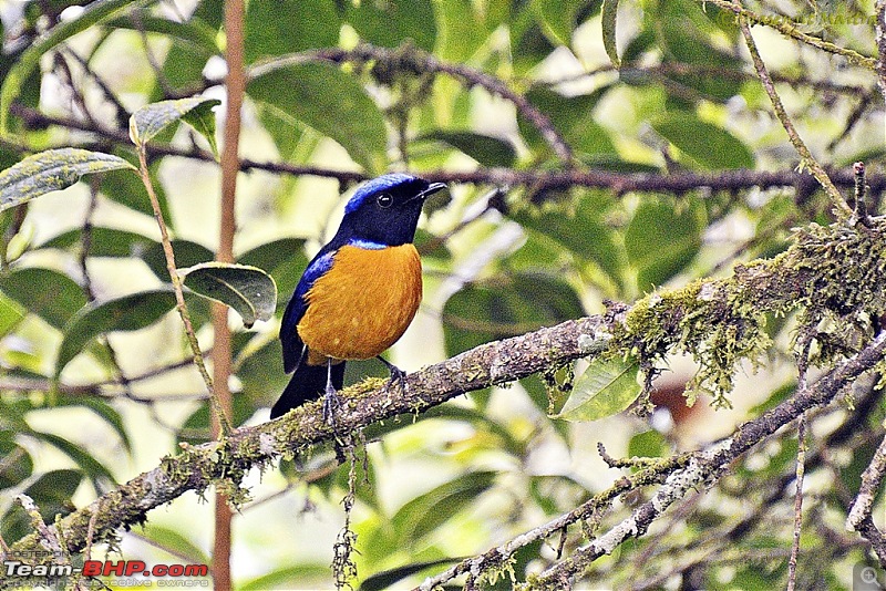 An Autumn Diary : Road trip to Sikkim and the hills of North Bengal-_dsc2492.jpg