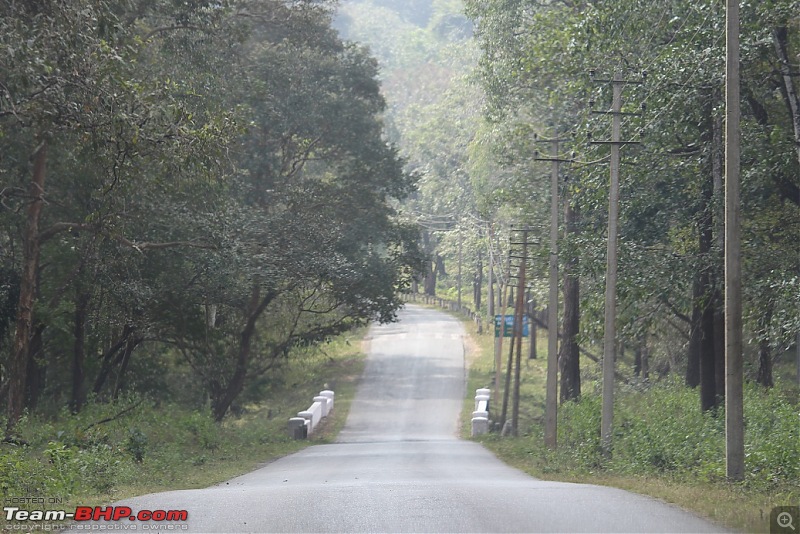 Short weekend drive: Bangalore to Wayanad-img_7855.jpg