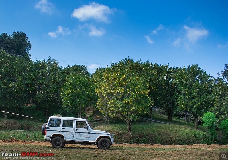 Nokrek National Park, West Garo Hills @ Meghalaya-946.jpg