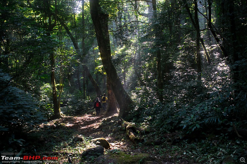 Nokrek National Park, West Garo Hills @ Meghalaya-930.jpg