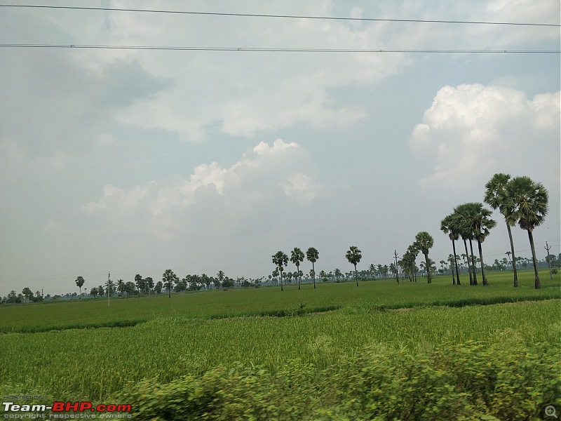 HexLogs - Drive from Bangalore to Bhutan in a Tata Hexa-ap-paddy-fields1.jpg