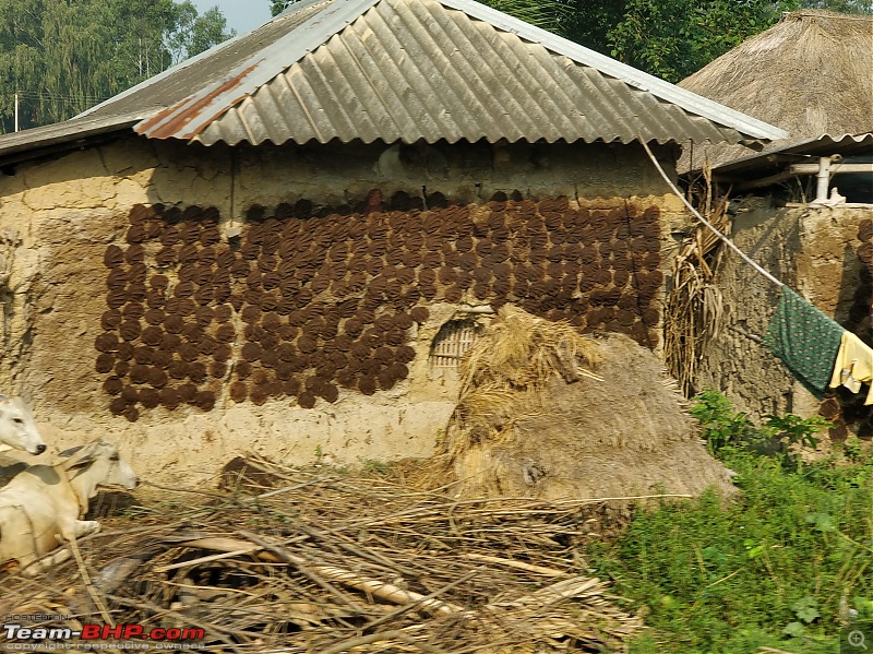 HexLogs - Drive from Bangalore to Bhutan in a Tata Hexa-bengalvillage1.jpg