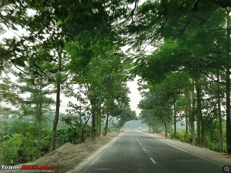 HexLogs - Drive from Bangalore to Bhutan in a Tata Hexa-16tree-canopy.jpg