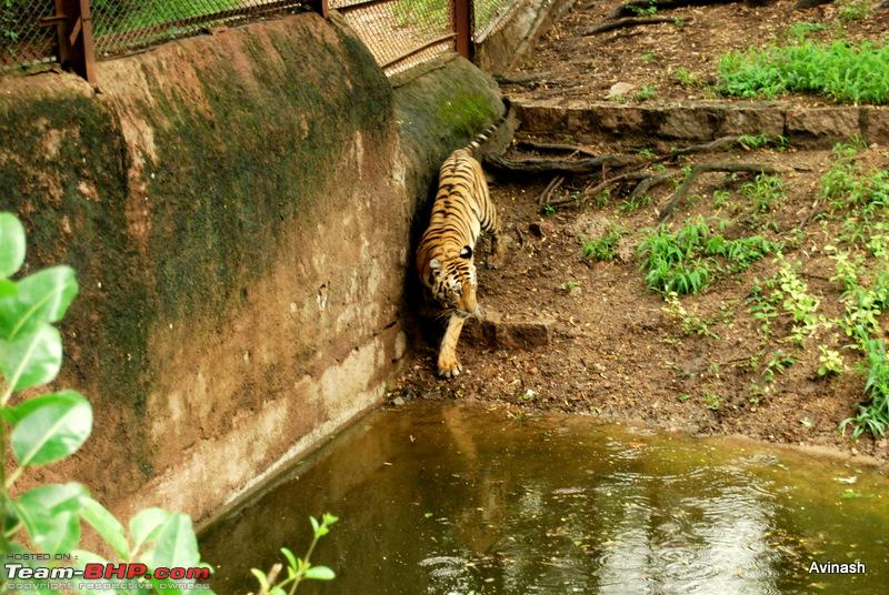 Hyderabad Zoo : A Photoblog - Page 2 - Team-BHP