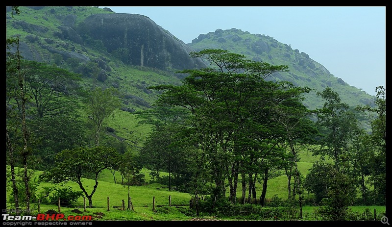 Quick drive through Vagamon and KK road in Kerala-dsc_0453.jpg