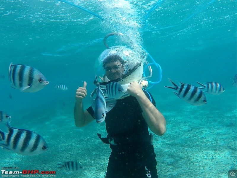 Marvellous Mauritius-diving.jpg