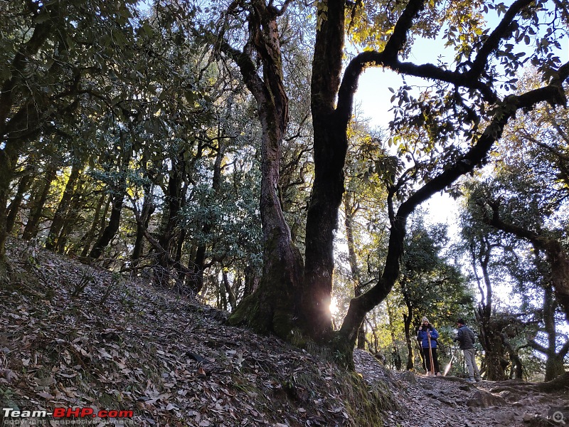 Our crazy first trek to Nag-Tibba, Uttarakhand-img_20190217_081354.jpg