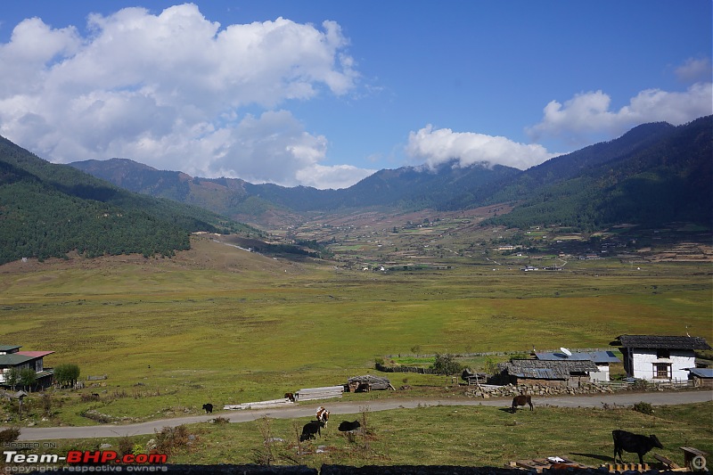 HexLogs - Drive from Bangalore to Bhutan in a Tata Hexa-phobjikha2.jpg