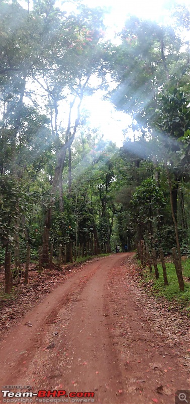 Trails of a Biker: A ride to Kemmangundi & Hebbe Falls-img_20190610_183200.jpg