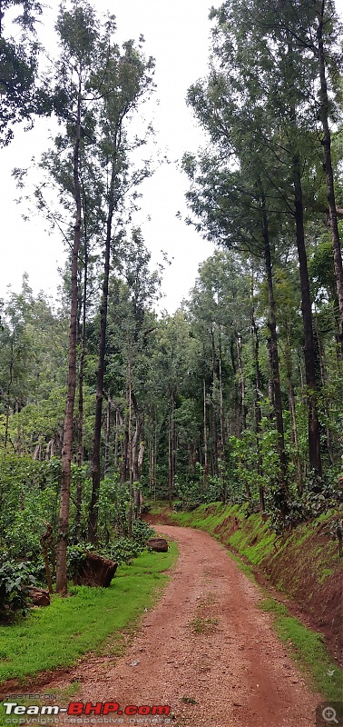 Trails of a Biker: A ride to Kemmangundi & Hebbe Falls-img_20190611_071512.jpg