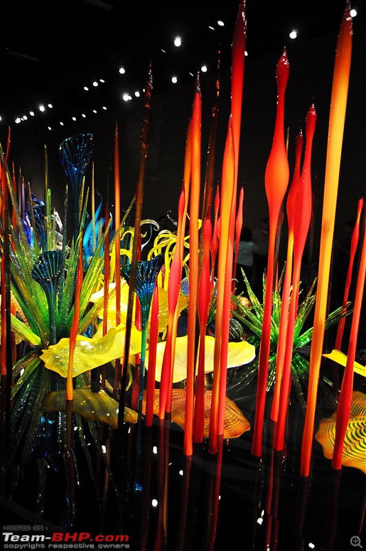 The Chihuly Garden & Glass Museum - Seattle, USA-164.jpg