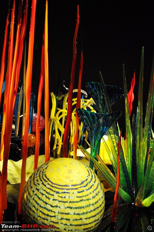The Chihuly Garden & Glass Museum - Seattle, USA-166.jpg