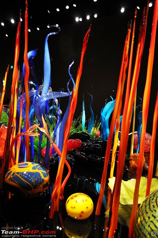 The Chihuly Garden & Glass Museum - Seattle, USA-167.jpg
