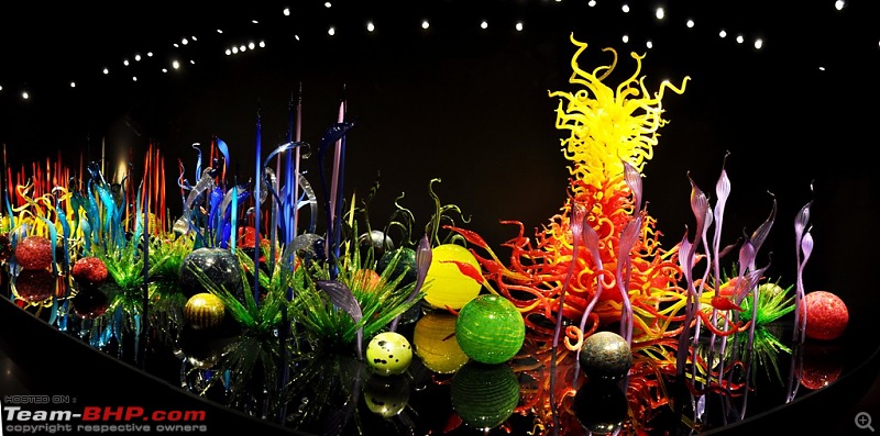The Chihuly Garden & Glass Museum - Seattle, USA-196.1.jpg