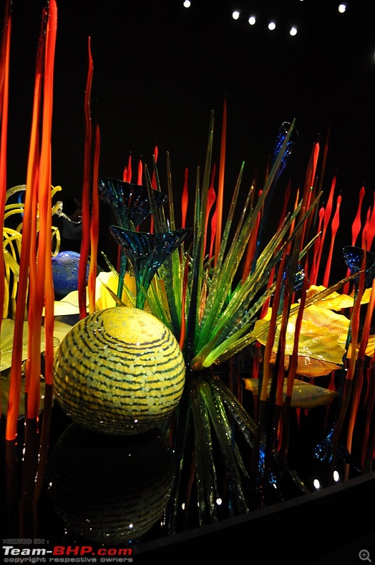 The Chihuly Garden & Glass Museum - Seattle, USA-175.jpg