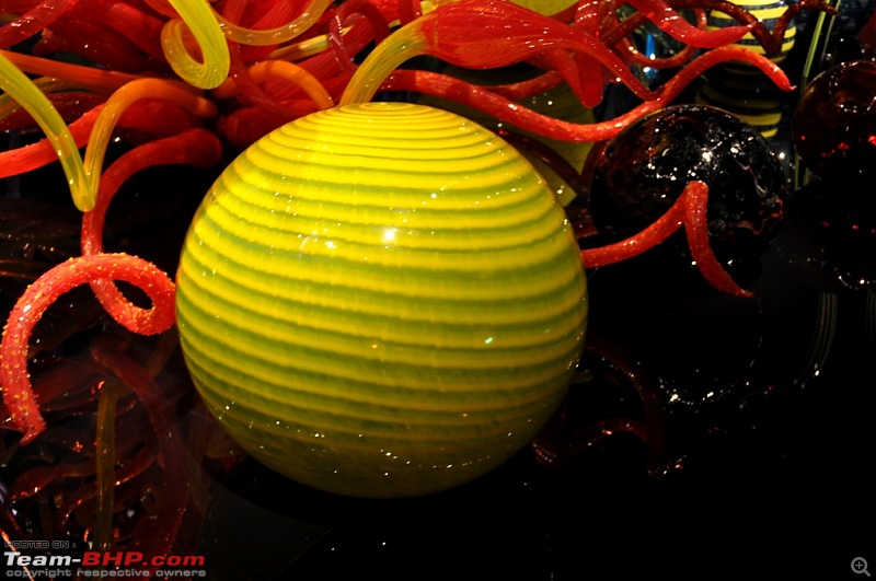 The Chihuly Garden & Glass Museum - Seattle, USA-189.jpg