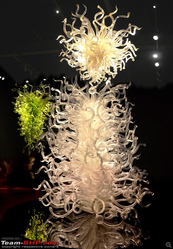 The Chihuly Garden & Glass Museum - Seattle, USA-214.1.jpg