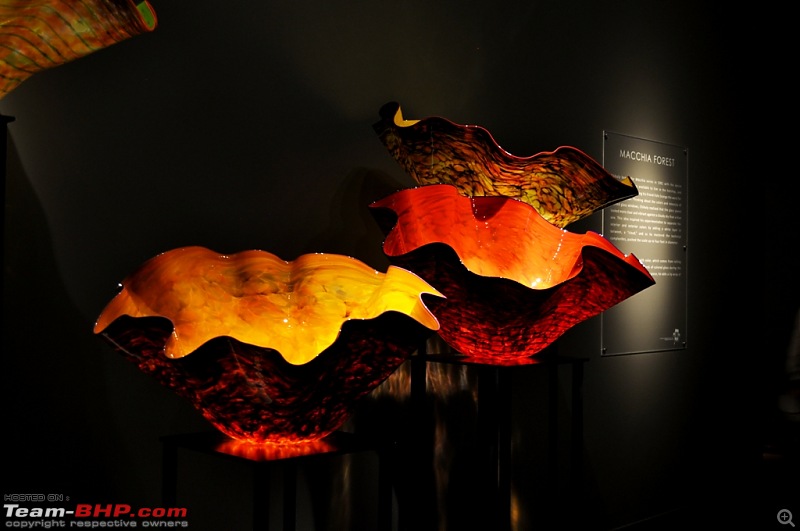 The Chihuly Garden & Glass Museum - Seattle, USA-230.jpg