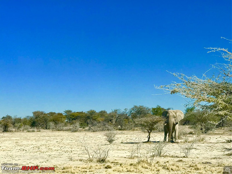 Southern Africa: Namibia road-trip in a Toyota Hilux-3.jpg