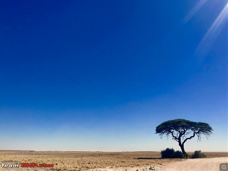 Southern Africa: Namibia road-trip in a Toyota Hilux-68422072_2767776296584618_3292458024295202816_n.jpg