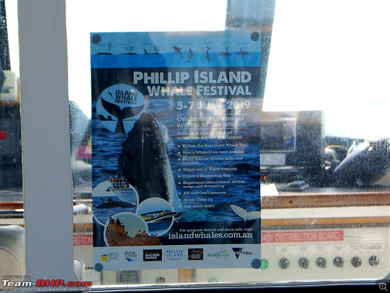 Australia: A road-trip to Phillip Island, Victoria-dsc05967.jpg