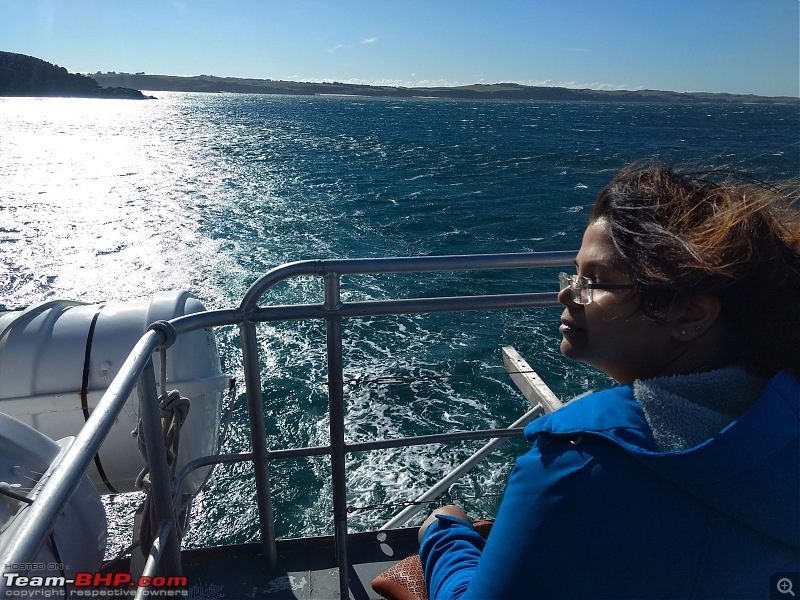 Australia: A road-trip to Phillip Island, Victoria-woolamai-cruise-21.jpg