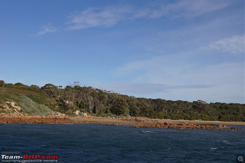 Australia: A road-trip to Phillip Island, Victoria-woolamai-cruise-22.jpg