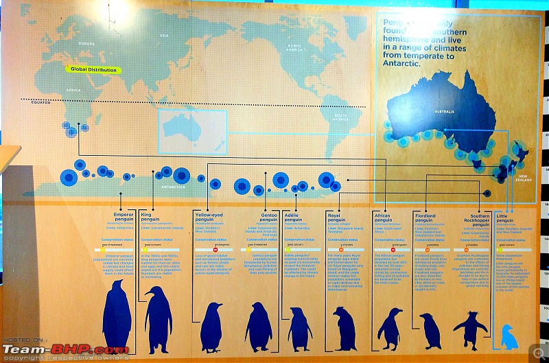 Australia: A road-trip to Phillip Island, Victoria-penguinworld-1.jpg